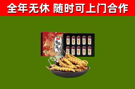 犍为回收冬虫夏草价格